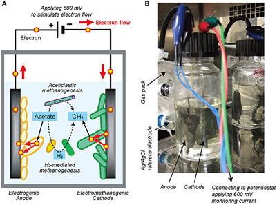 Bioelectrochemical Stimulation of Electromethanogenesis at a Seawater-Based Subsurface Aquifer in a Natural Gas Field